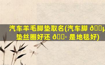 汽车羊毛脚垫取名(汽车脚 🌵 垫丝圈好还 🌷 是地毯好)